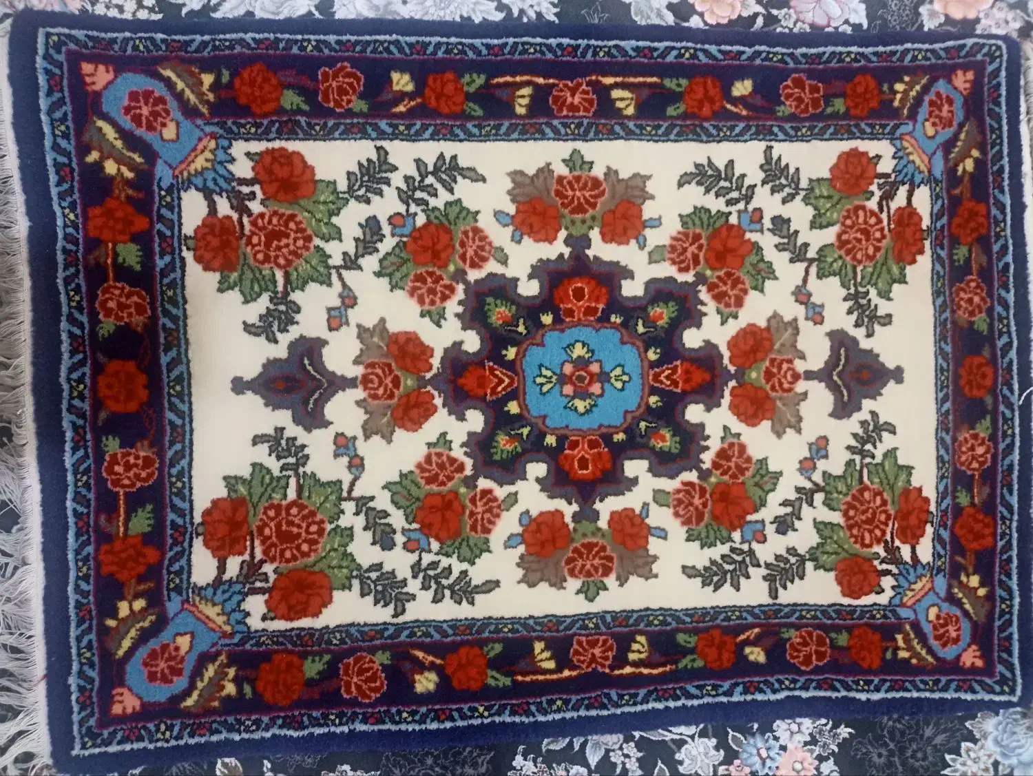 پوشتی|فرش|بیجار, |دیوار