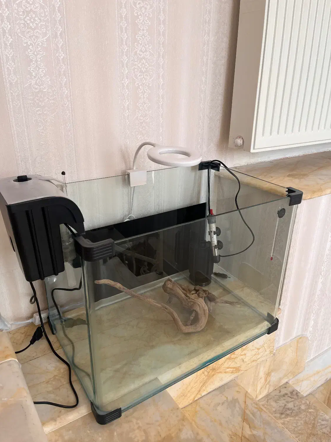 آکواریوم پلنت|ماهی|مهاباد (آذربایجان غربی), |دیوار