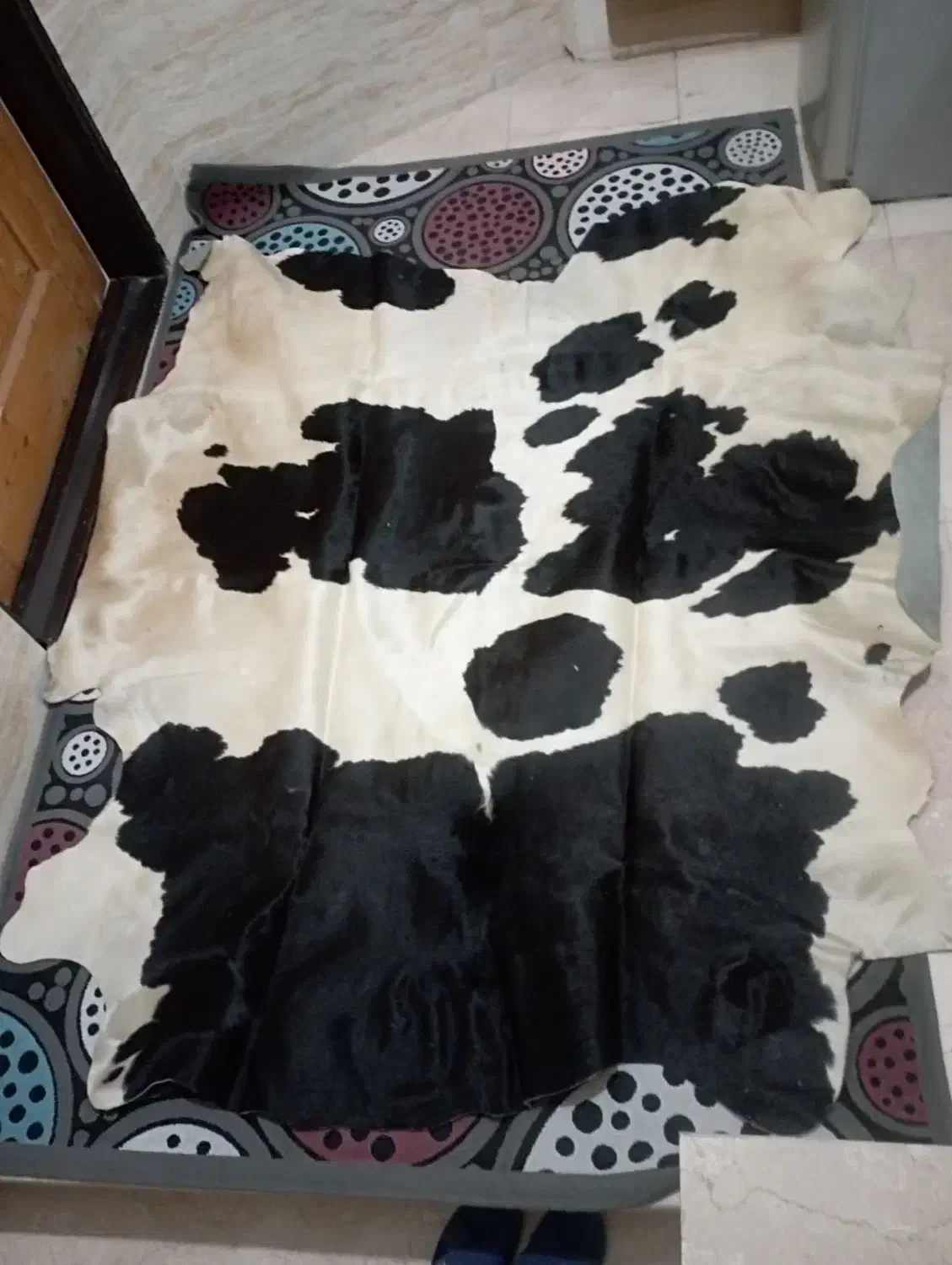 پوست گاو طبیعی|فرش|نسیمشهر, |دیوار