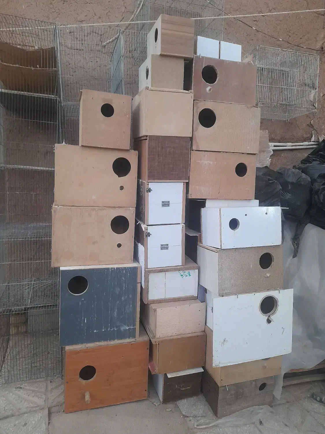 تعدادی لونه طوطی سانان و آبخوری و دونخوری|لوازم جانبی حیوانات|یزد, |دیوار