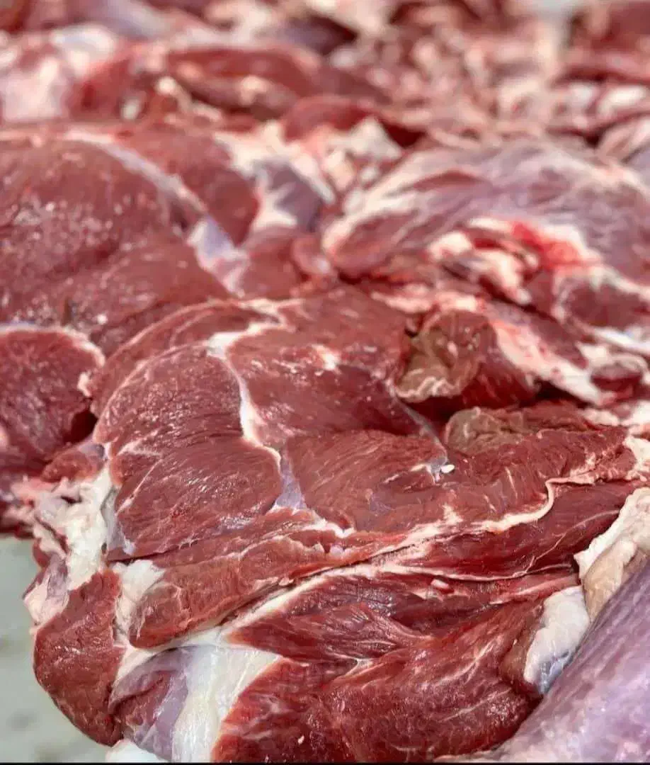 گوشت گوساله گوسفند گرم و منجمد|خوردنی و آشامیدنی|تهران, تهرانسر مرکزی|دیوار