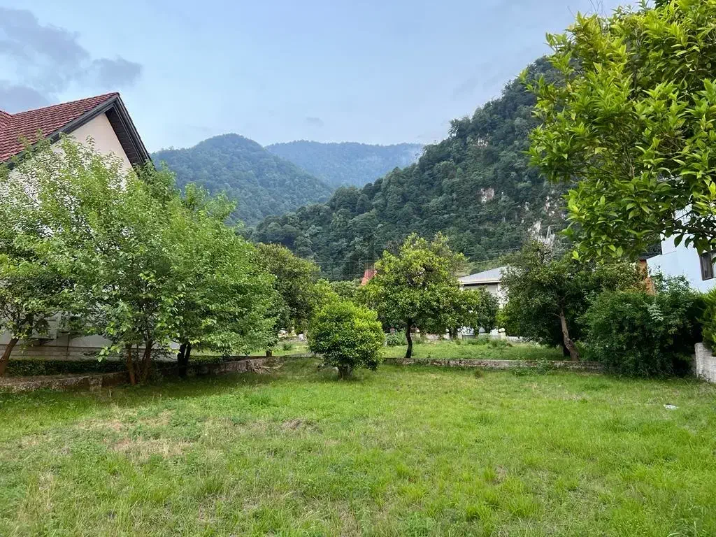 فروش فوری 320متر زمین بافت زرد سندتک برگ با چک|فروش زمین و ملک کلنگی|خرمآباد (تنکابن), |دیوار