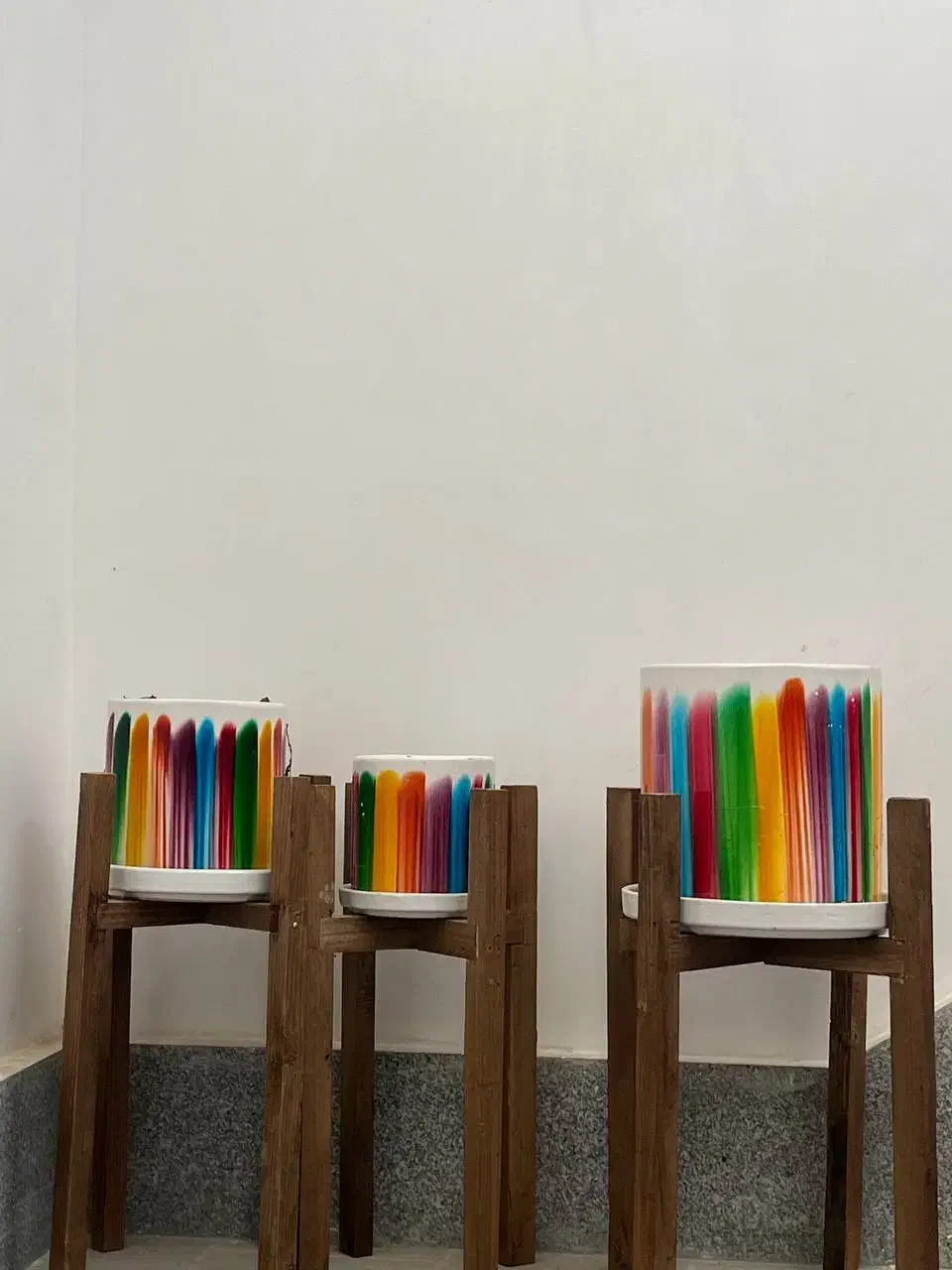 گلدان|گل و گیاه طبیعی|بجنورد, |دیوار