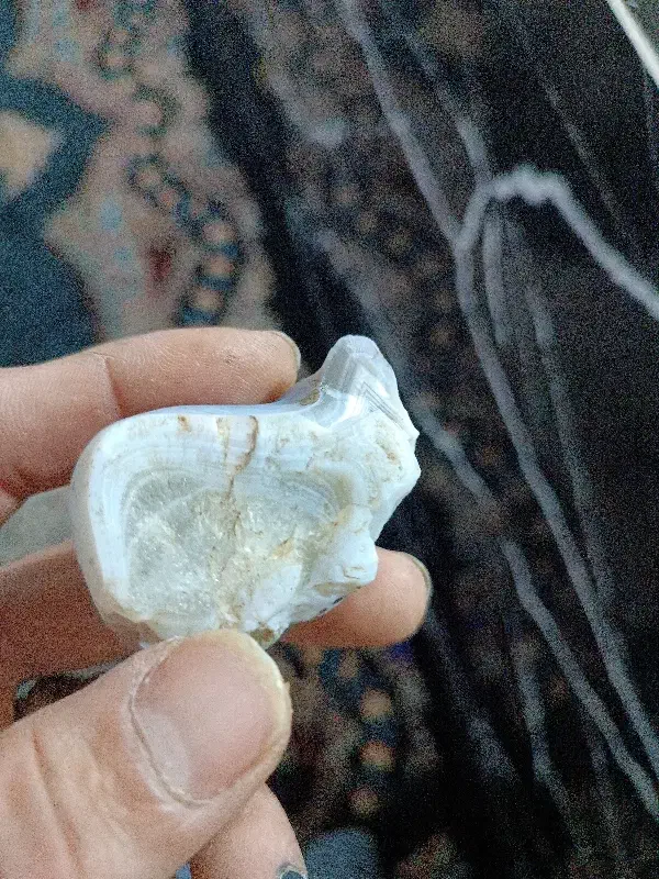 مرجان|کلکسیون اشیاء عتیقه|آبیک, |دیوار