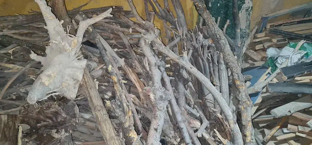 فروشنده انواع چوب های جنگلی و تنه درخت . درکهریزک|خدمات پیشه و مهارت|کهریزک, |دیوار