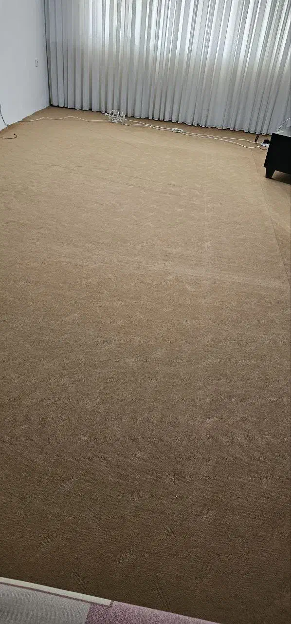 موکت ظریف مصور رنگ شتری سه تیکه|موکت|بازرگان, |دیوار