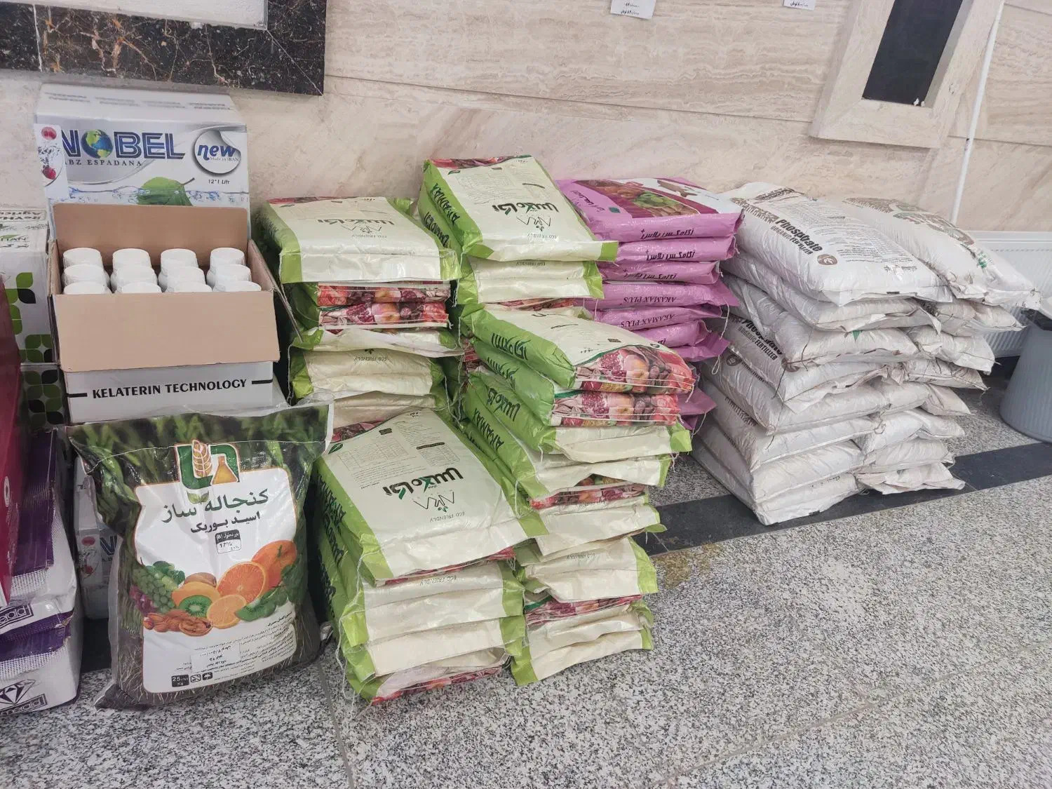 فروش ویژه چالکود زمستانه تا ۲۰ ٪ تخفیف|خدمات باغبانی و درختکاری|نجفآباد, جعفرآباد|دیوار