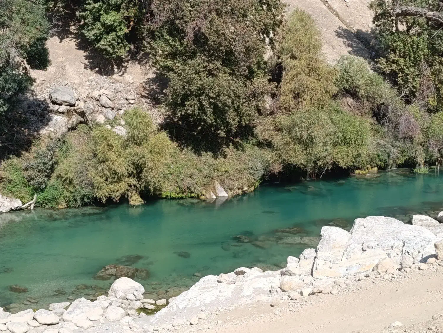 وام با ضمانت طلا|فعالیت داوطلبانه|یاسوج, |دیوار