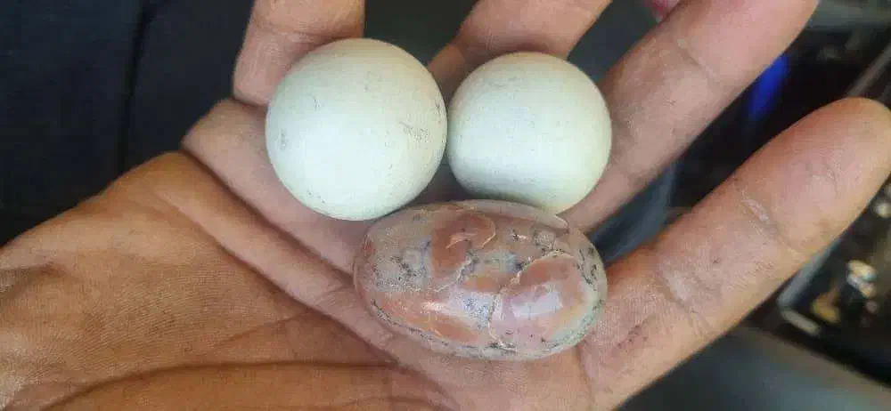 تعداد۲۷ نوع سنگ قیمتی ونیمه قیمتی|جواهرات|ری, شهید بهشتی|دیوار