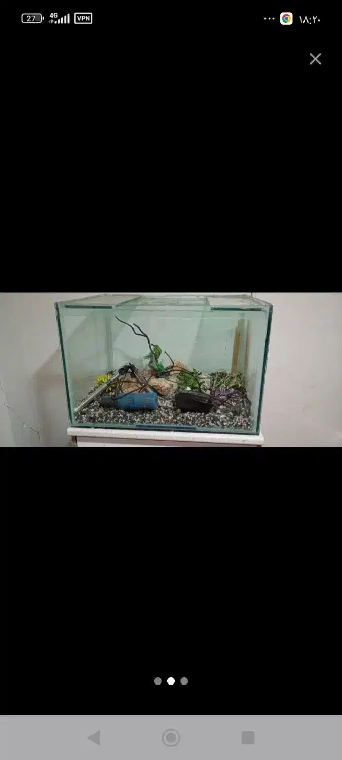 اکواریوم10میل|ماهی|رشت, دباغیان|دیوار