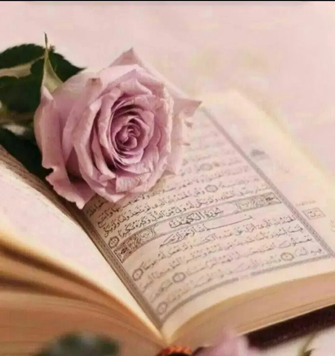 سرکتاب ودعا تضمینی|کتاب و مجله مذهبی|آزادشهر, |دیوار