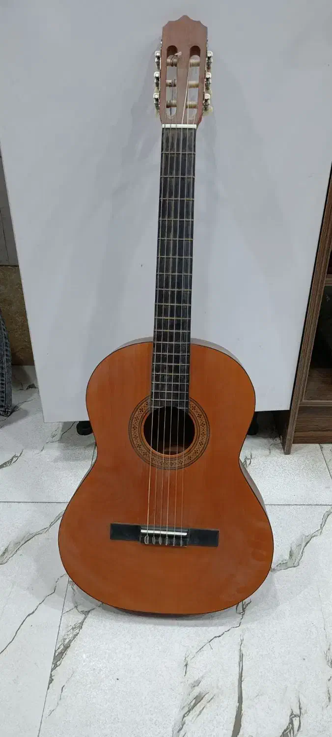 گیتار m2پارسی|گیتار، بیس، امپلیفایر|ورامین, ریحان آباد|دیوار