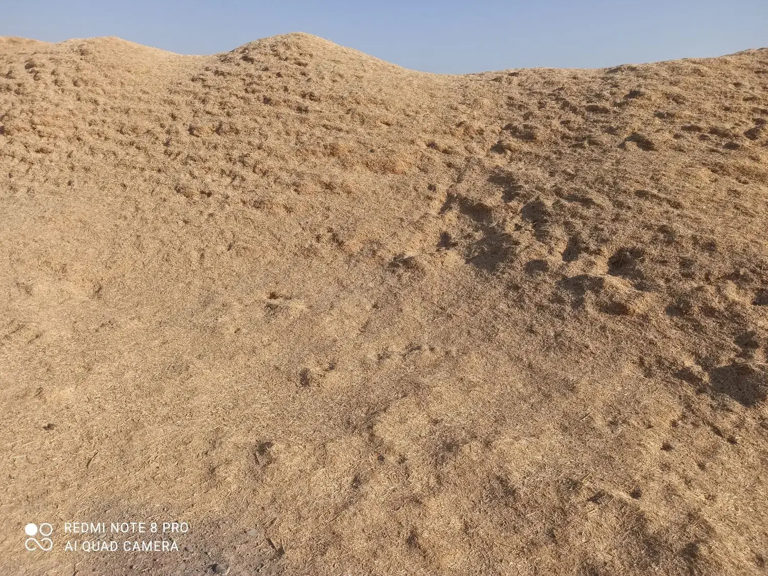 کاه گندم|حیوانات مزرعه|رباطکریم, رباطکریم|دیوار