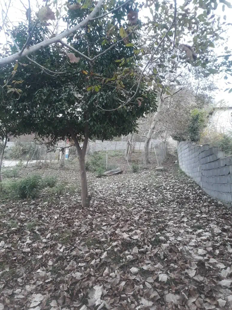 مازندران سوادکوه|فروش زمین و ملک کلنگی|آلاشت, |دیوار