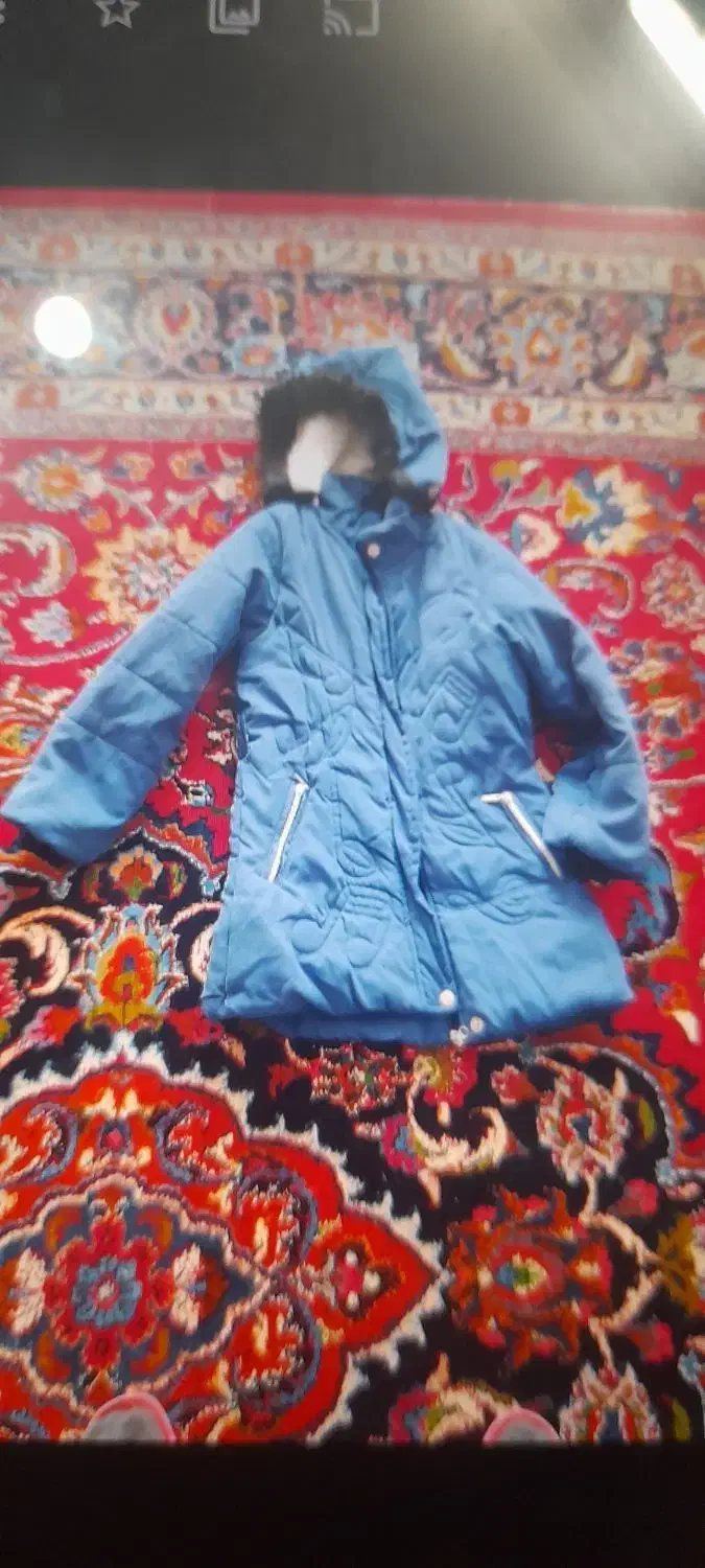 کاپشن و پالتو|لباس|تربتحیدریه, داروپخش|دیوار