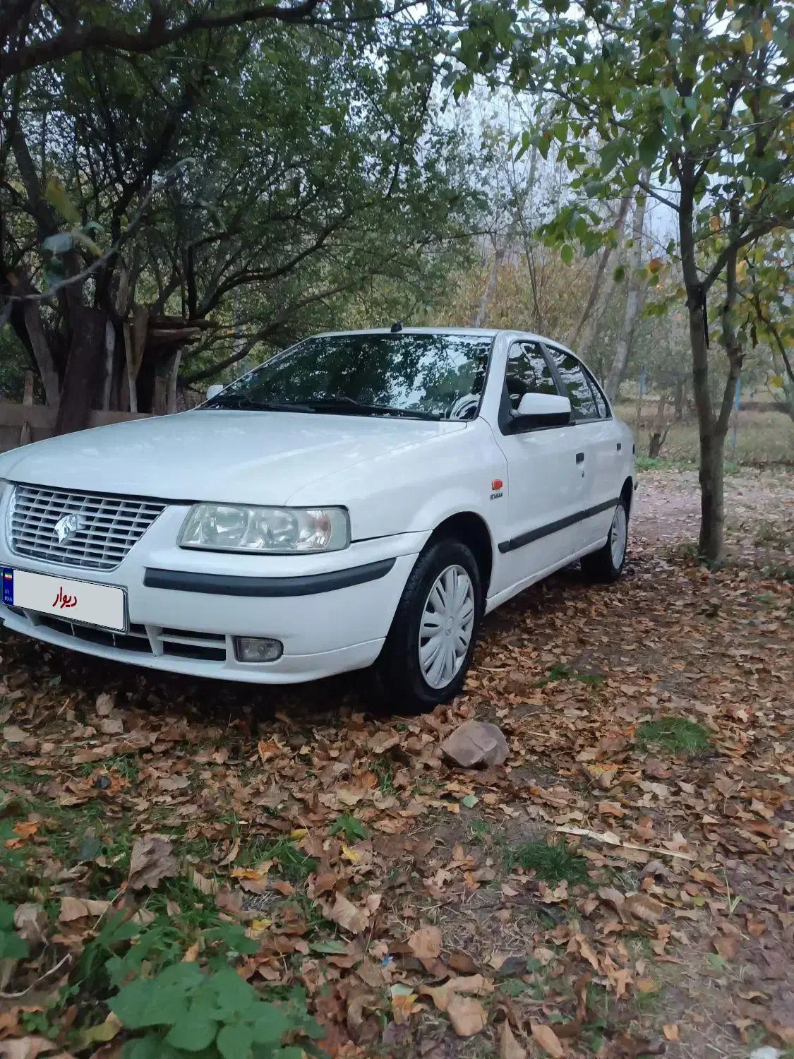 فروشی خودرو|خودرو سواری و وانت|هشتگرد, شهرک المهدی|دیوار