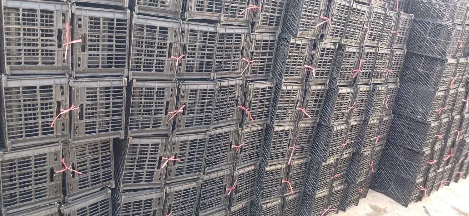 کارگر ساده بسته بندی|استخدام صنعتی، فنی، مهندسی|بروجرد, |دیوار