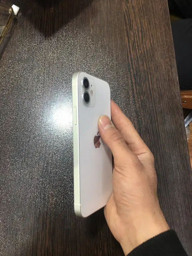 iPhone 12 normal|موبایل|مشهد, سعد آباد|دیوار