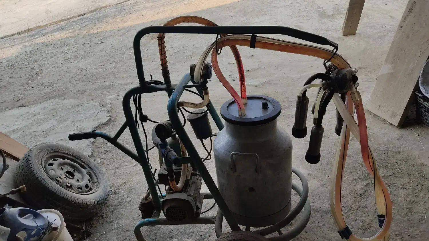 سالم میباشد|عمدهفروشی|کمیجان, |دیوار