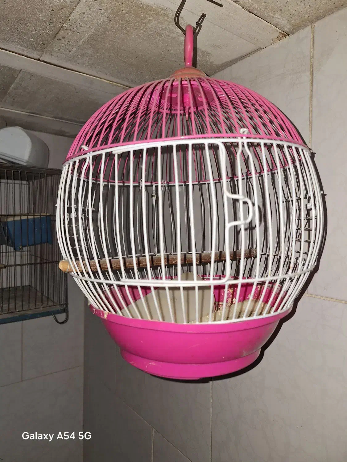 قفسه پرنده|لوازم جانبی حیوانات|اندیشه, اندیشه فاز ۱|دیوار