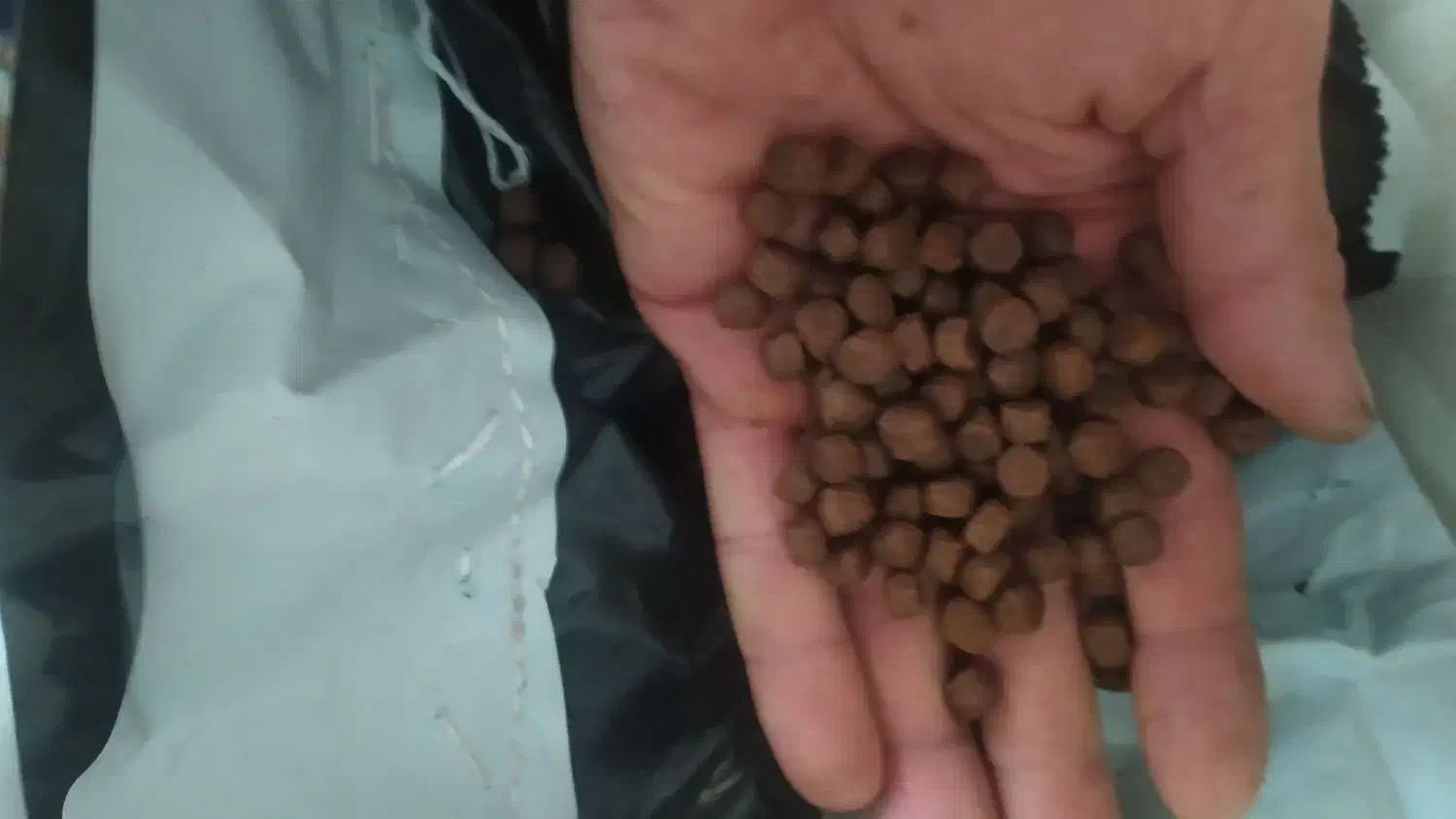 لوفاک قزلی|ماهی|تهران, سلیمانی|دیوار