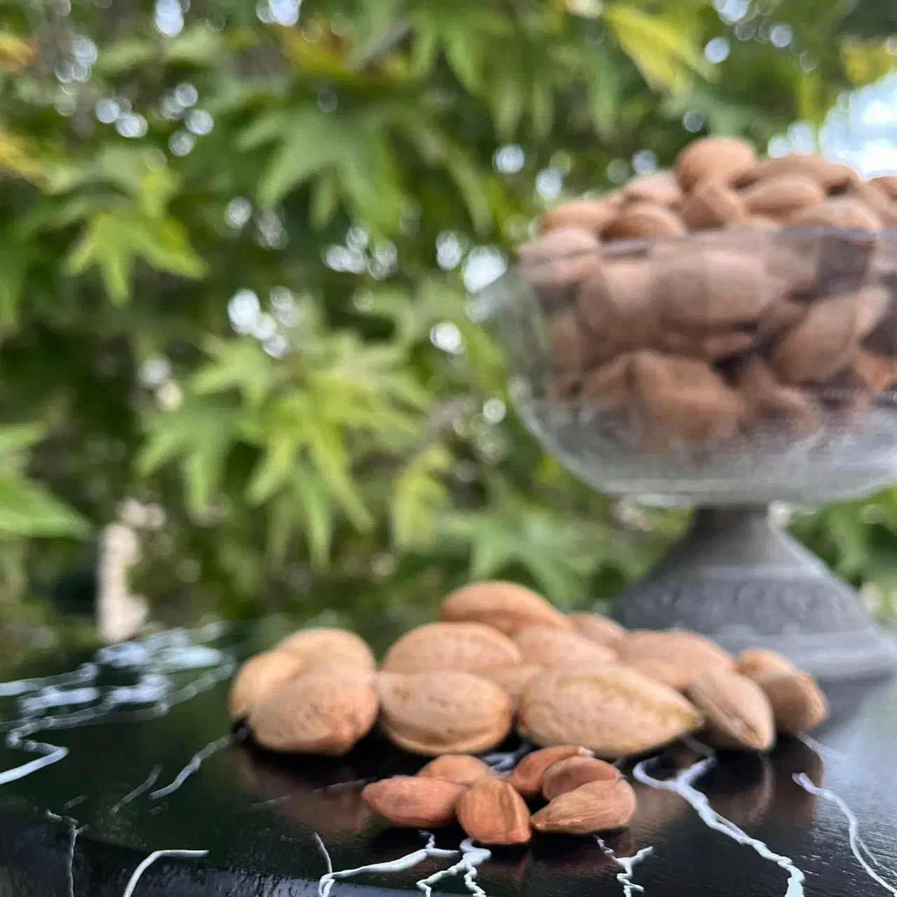 هسته زردآلو،بادام سنگی و انواع کشمش ارگانیک|خوردنی و آشامیدنی|اهواز, کیانپارس |دیوار