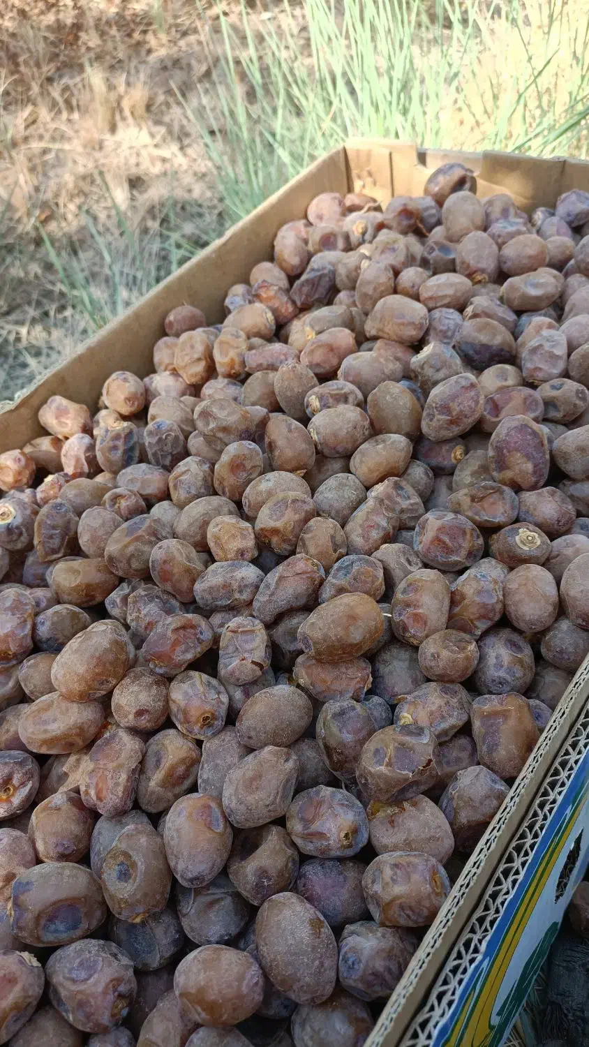 برحی آبادان بهمنشیر|خوردنی و آشامیدنی|اهواز, فدک|دیوار