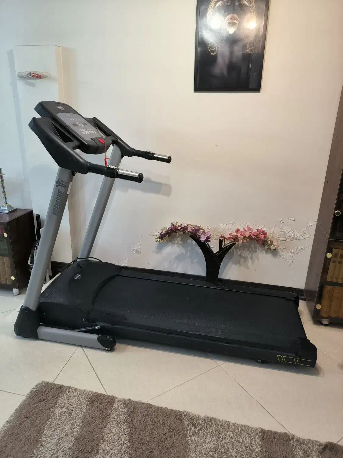 تردمیل bremshey|تجهیزات ورزشی|کرج, حسن آباد|دیوار