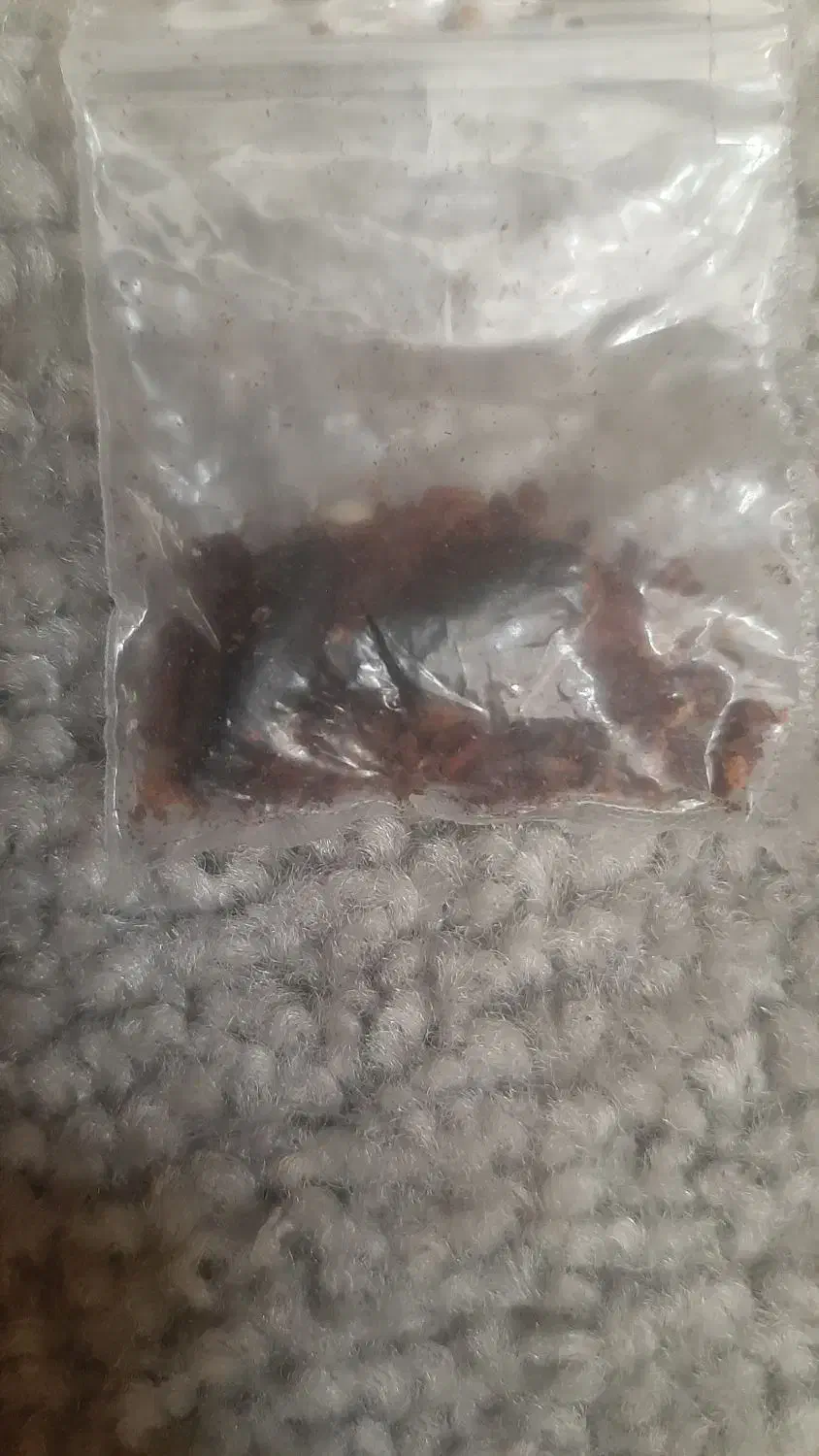 سلطانی|جواهرات|بندرعباس, |دیوار