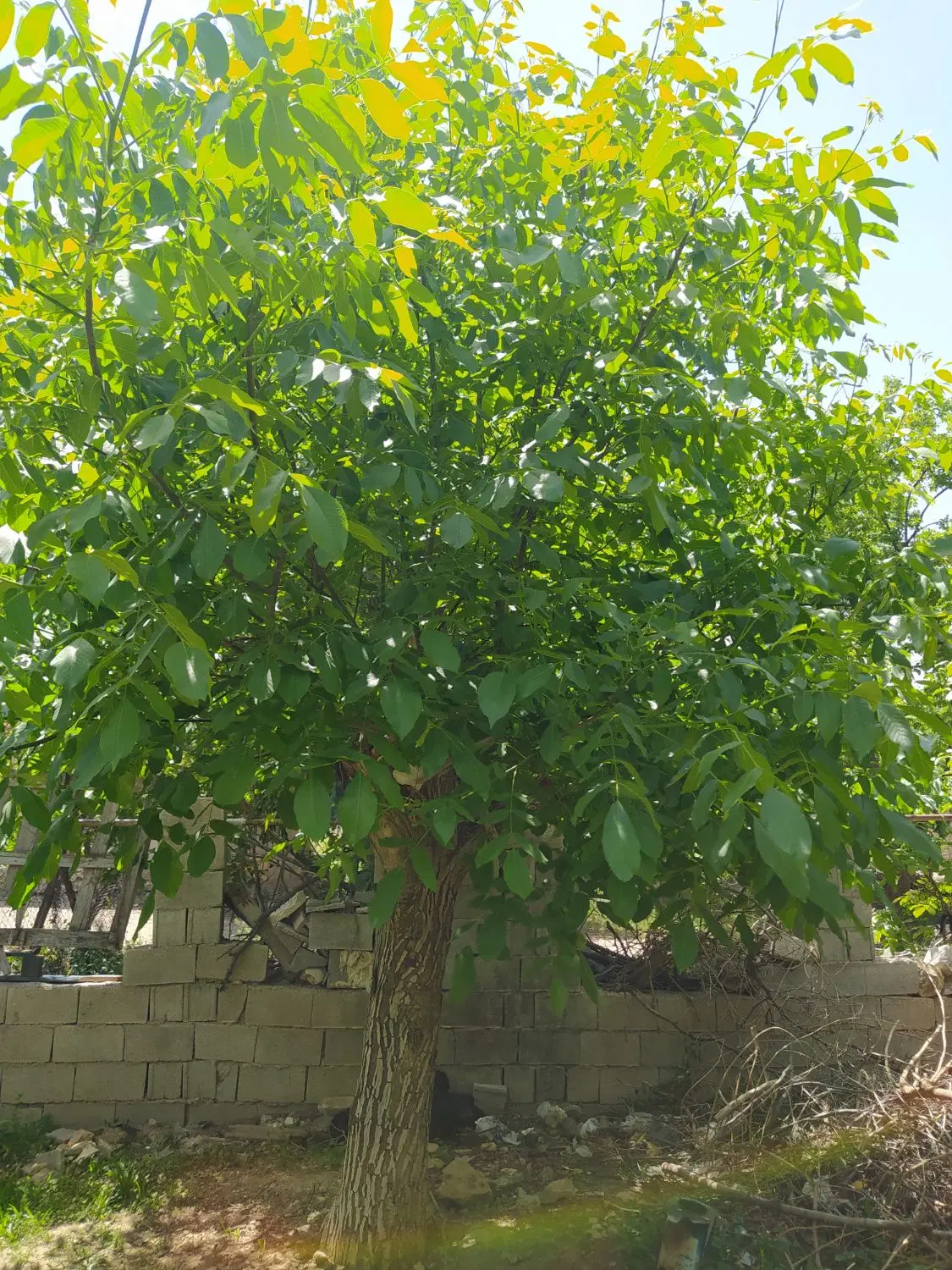 تصویر 5