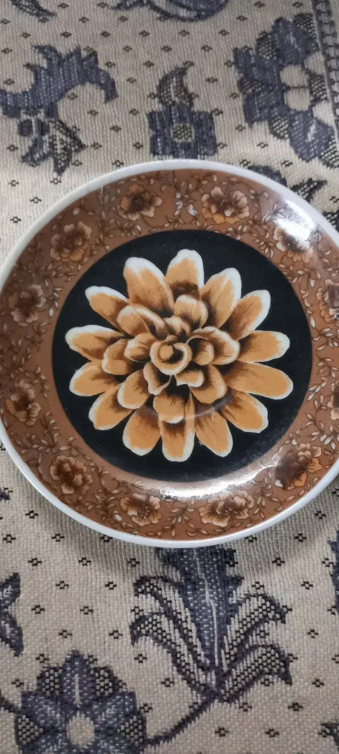 نعلبکی ۵ تایی ژاپنی|کلکسیون اشیاء عتیقه|بابل, |دیوار