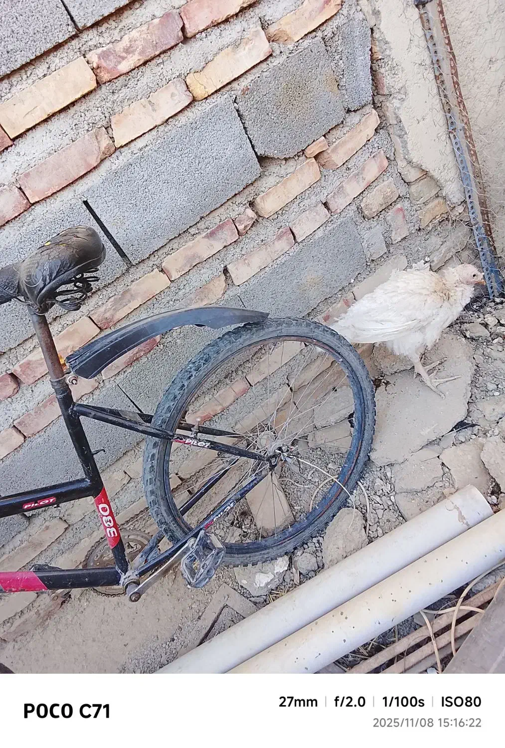 دوچرخه 26 فروشی|دوچرخه، اسکیت، اسکوتر|سیب و سوران, |دیوار