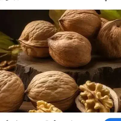 گردو تازه|خوردنی و آشامیدنی|کامیاران, |دیوار