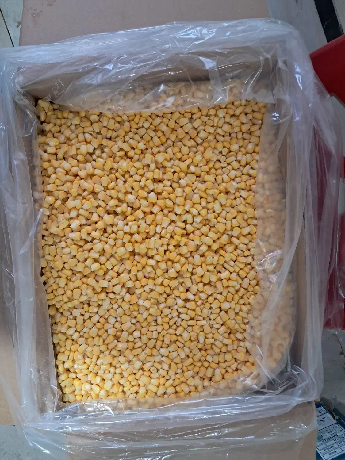 ذرت مکزیکی|خوردنی و آشامیدنی|نسیمشهر, |دیوار