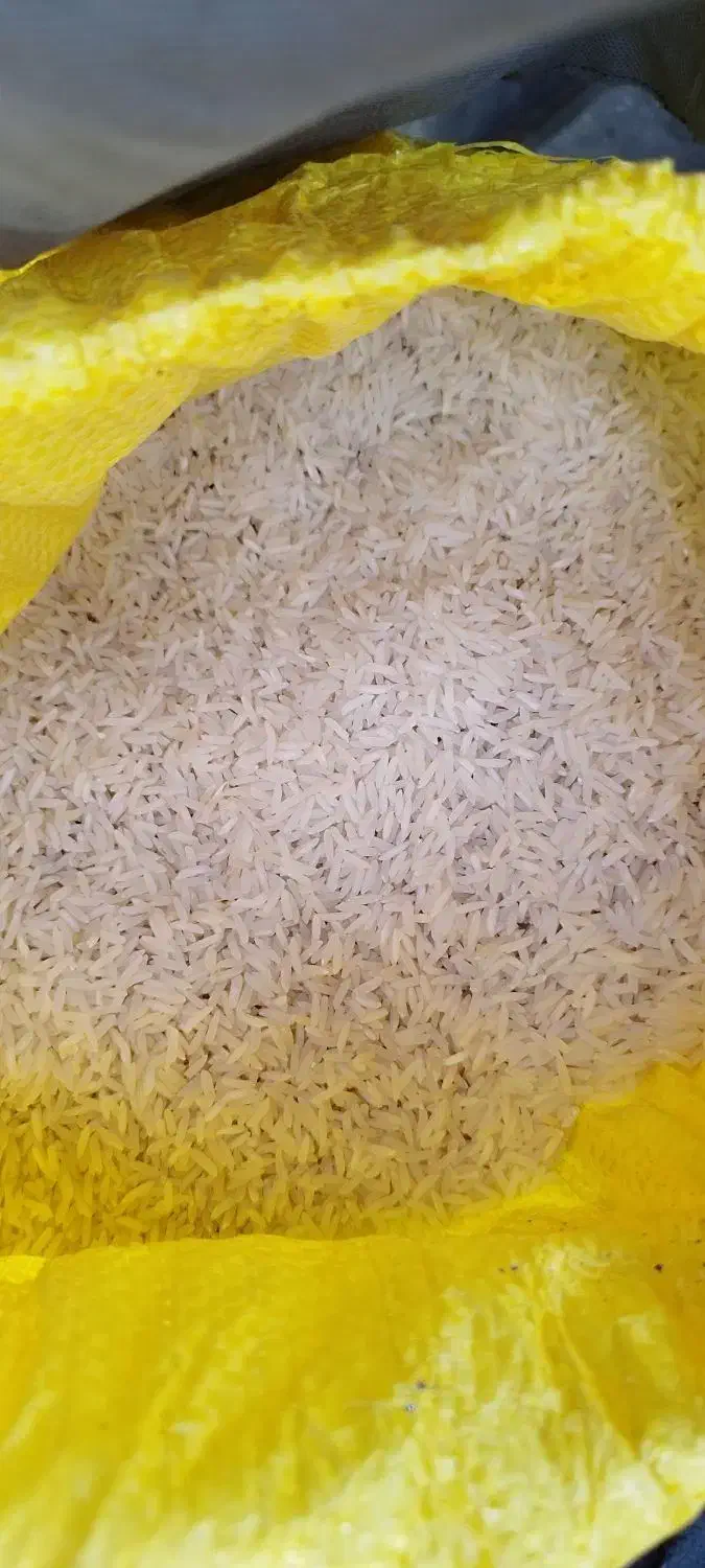 برنج طارم|خوردنی و آشامیدنی|قم, پردیسان|دیوار