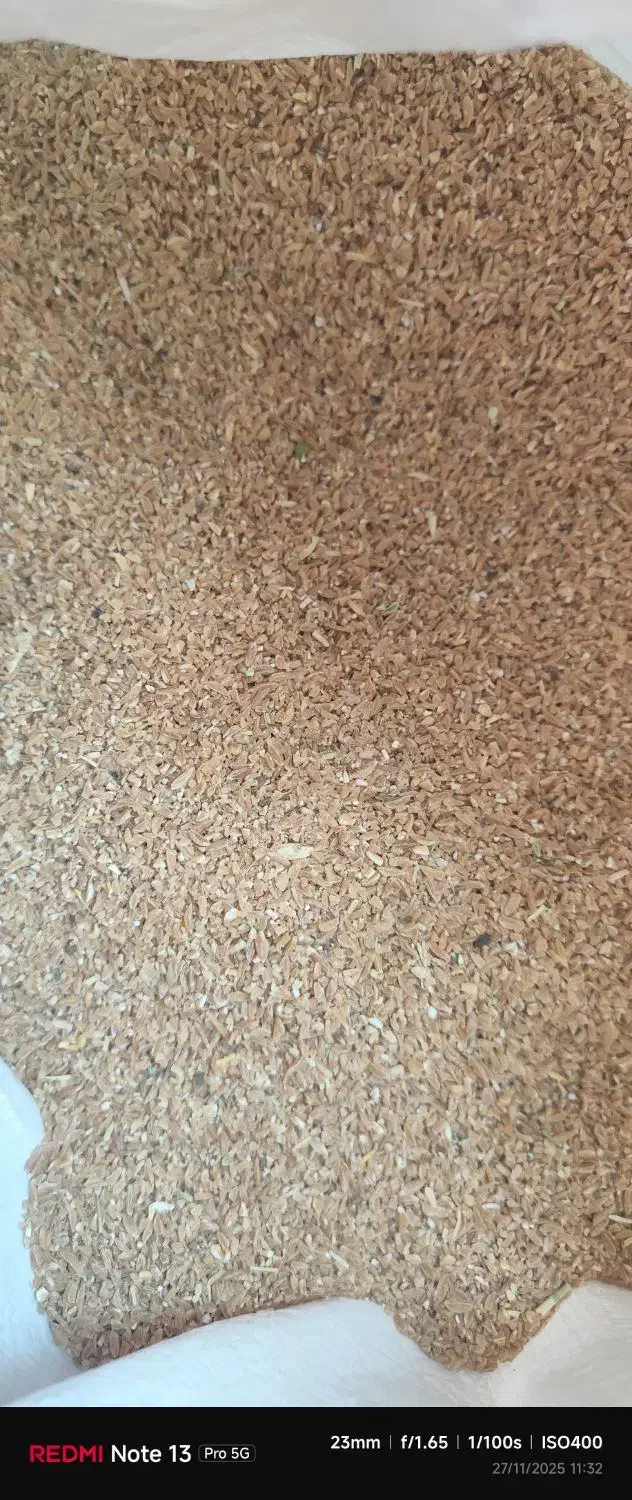 برویش یا بلغور|خوردنی و آشامیدنی|دیواندره, |دیوار