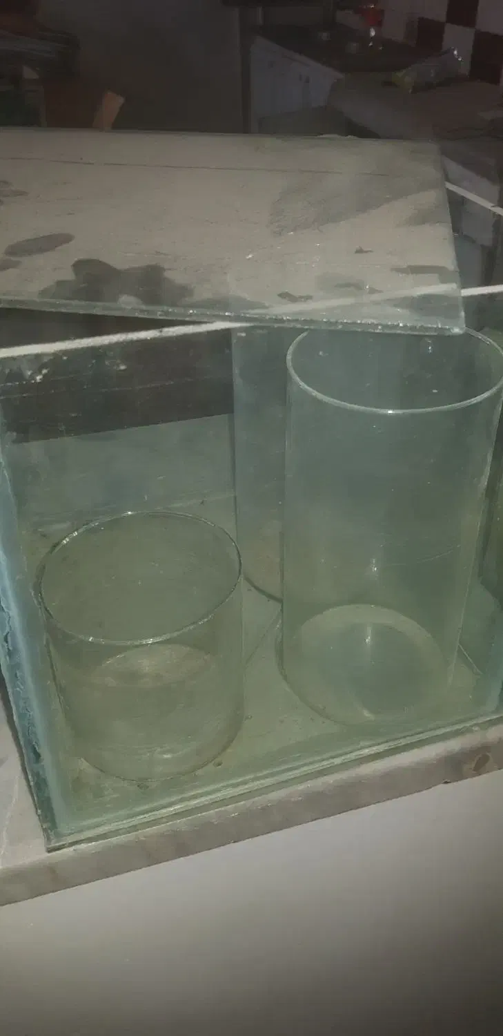 اکواریوم|ماهی|چهاردانگه (تهران), |دیوار