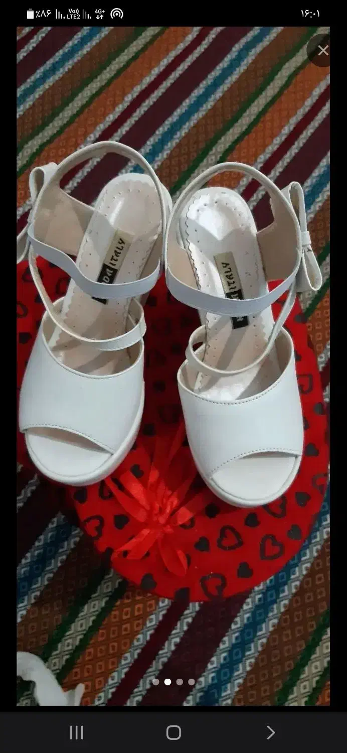 کفش مجلسی|کیف، کفش، کمربند|قم, نیروگاه|دیوار