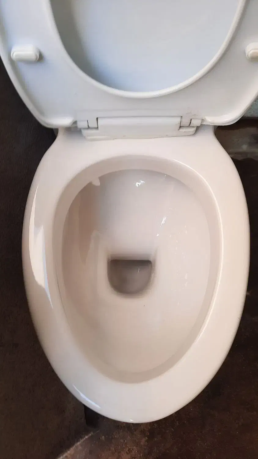 توالت فرنگی نو|لوازم سرویس بهداشتی|کیش, |دیوار