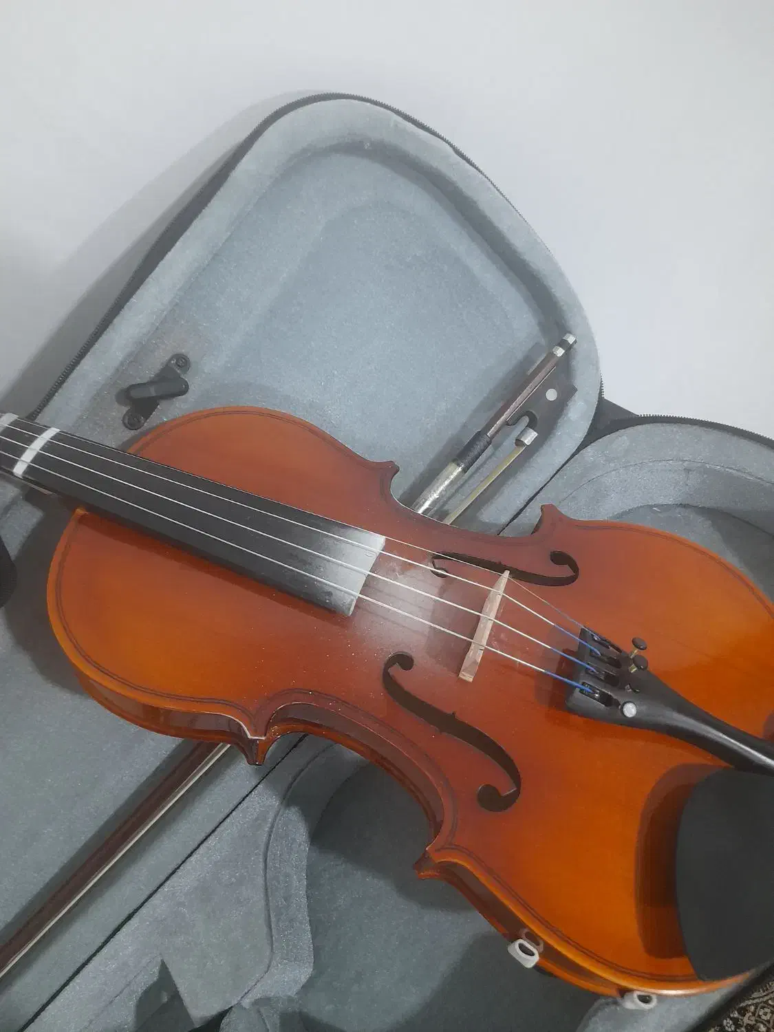 ویولون4/4|ویولن|سپیدان, |دیوار