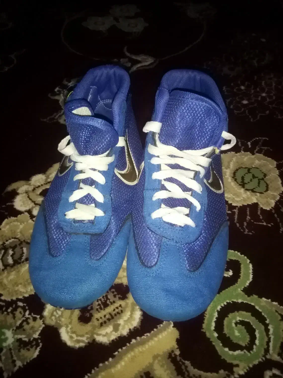 کفش کشتی|کیف، کفش، کمربند|الشتر, |دیوار