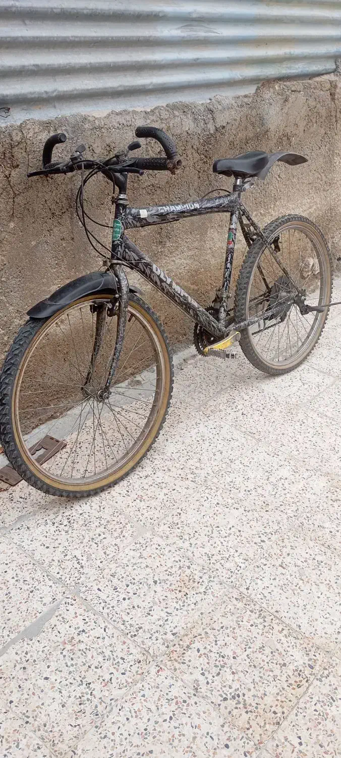 دوچرخه|دوچرخه، اسکیت، اسکوتر|شیراز, سعدیه شمالی|دیوار