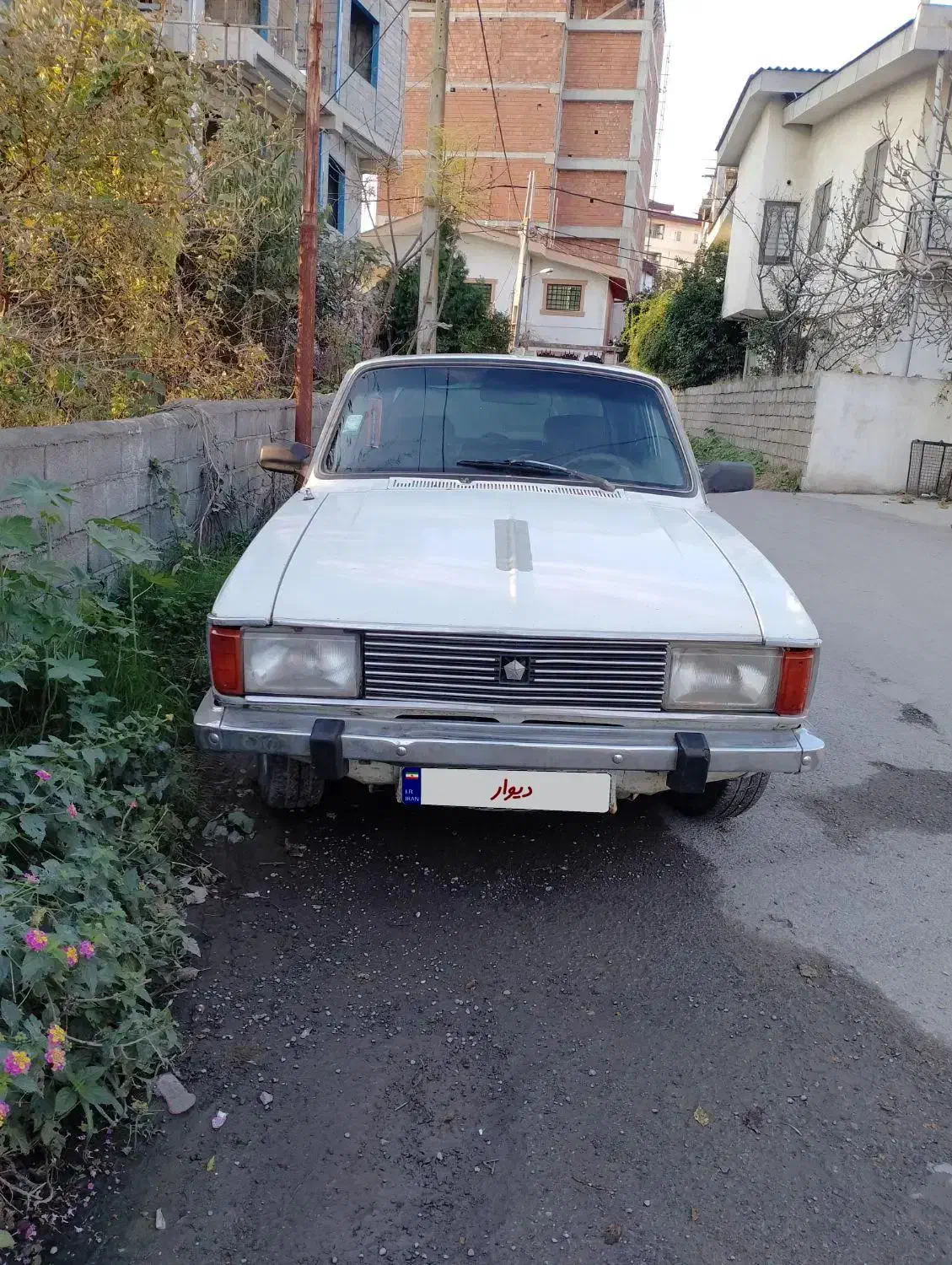 فروش پیکان 83|خودرو سواری و وانت|چالوس, |دیوار