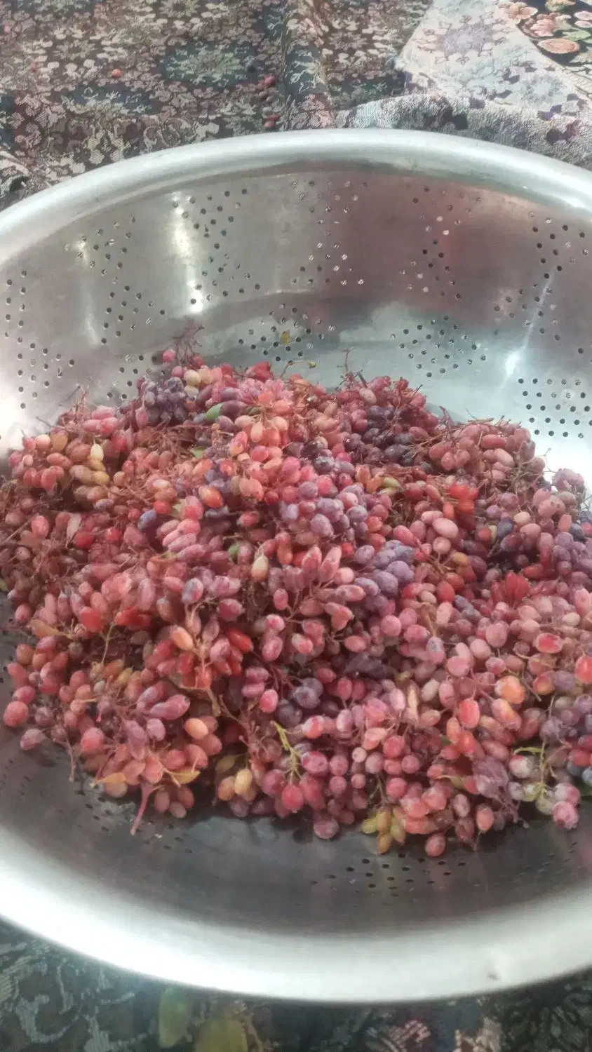 زرشک قرمز دانه داد|خوردنی و آشامیدنی|شیراز, حجت آباد|دیوار