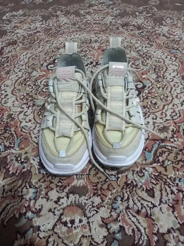 کفش|کیف، کفش، کمربند|مشهد, کلاته برفی|دیوار