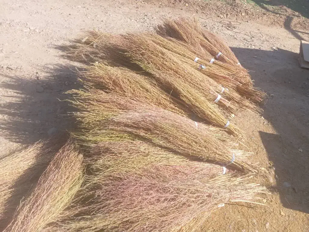 جارو نرم دسته ۳۵|لوازم نظافت|نورآباد, |دیوار