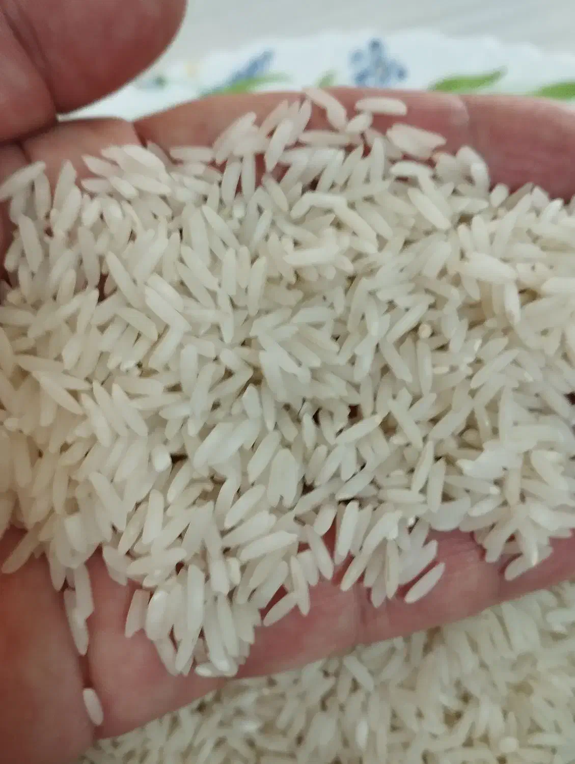 برنج طارم هاشمی گیلان|خوردنی و آشامیدنی|تهران, مجیدآباد|دیوار