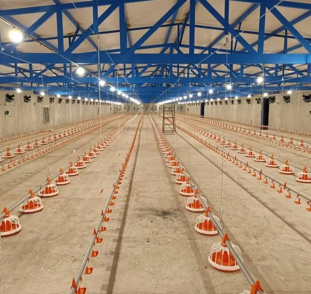 نصاب و تجهیز سالن پرورش مرغ ، بوقلمون|ماشینآلات صنعتی|بیرجند, |دیوار