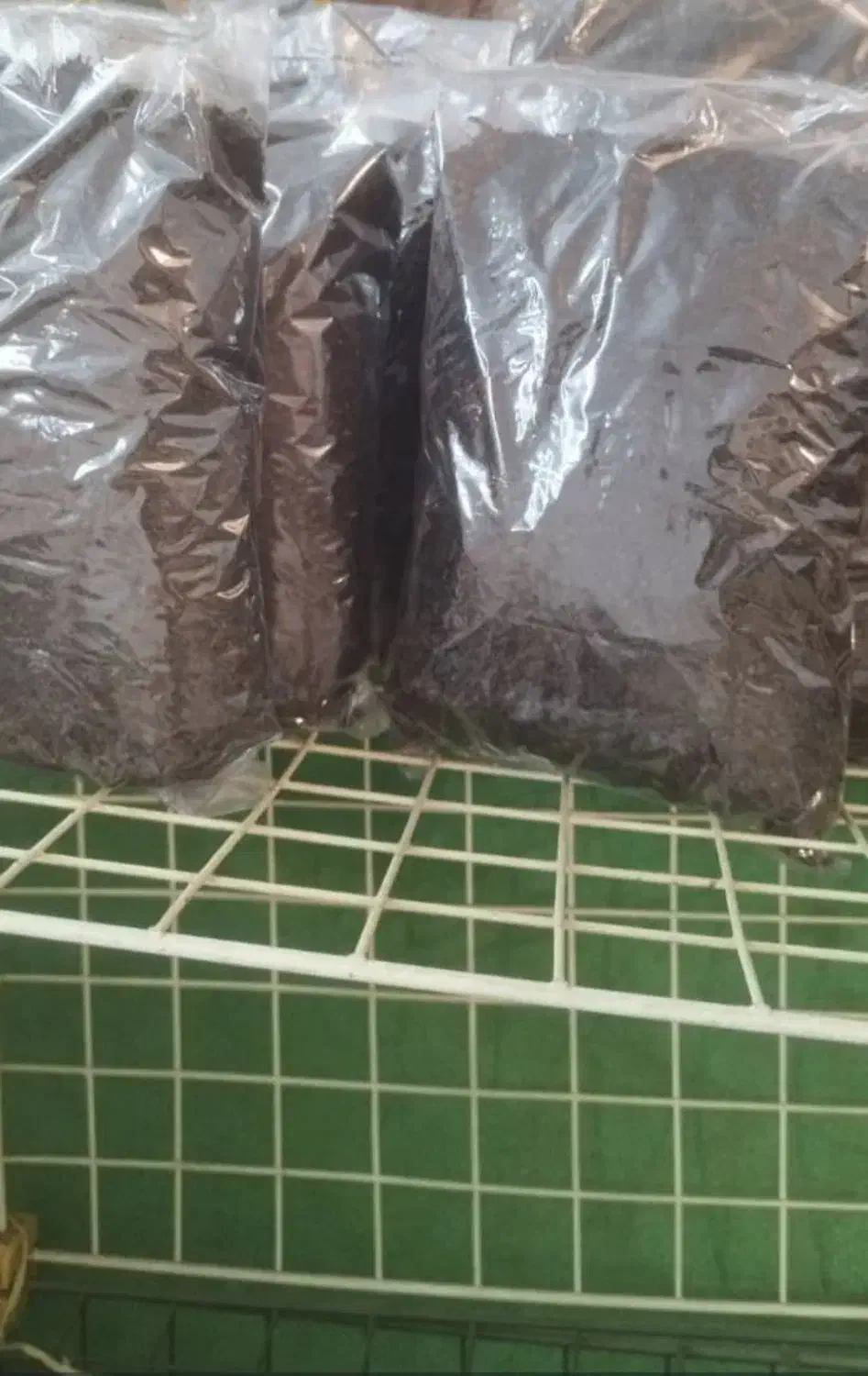 چای اصل لاهیجان|خوردنی و آشامیدنی|تهران, اباذر|دیوار