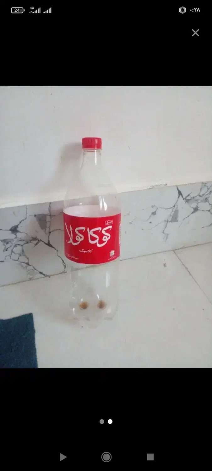 بطری خالی|ظروف نگهدارنده، پلاستیکی، یک‌بارمصرف|زابل, |دیوار